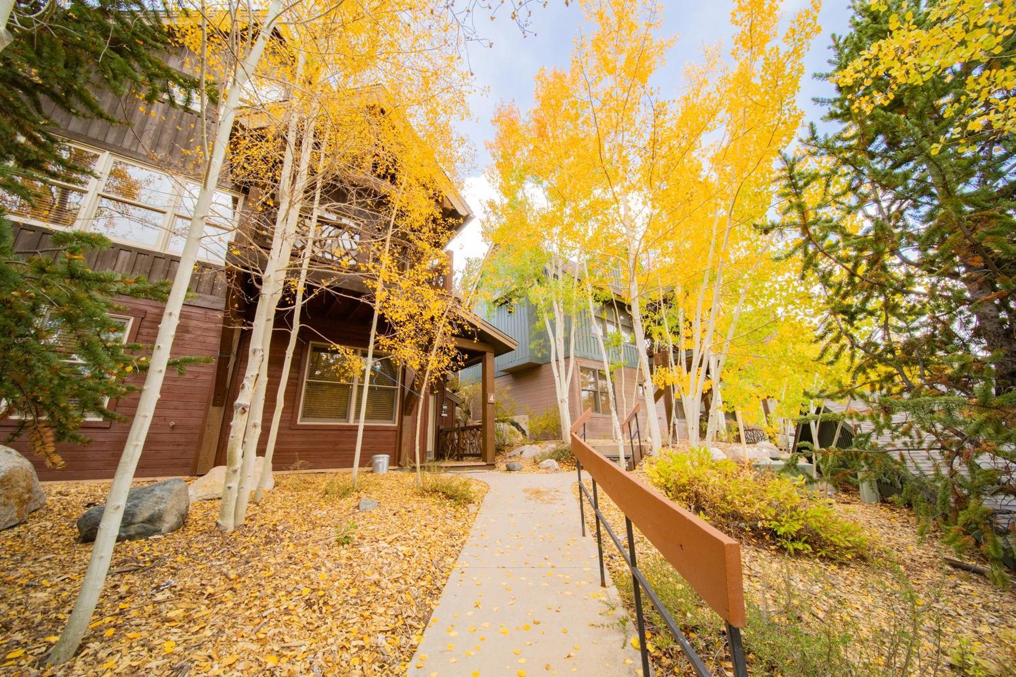 Cabin In The Pines 4 By Summitcove Lodging Keystone Bagian luar foto